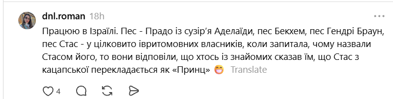 Чики и Пуки, Козявка, Шмонько: самые необычные прозвища, которыми украинцы называют своих питомцев - фото 898880