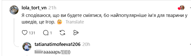 Чики и Пуки, Козявка, Шмонько: самые необычные прозвища, которыми украинцы называют своих питомцев - фото 898881