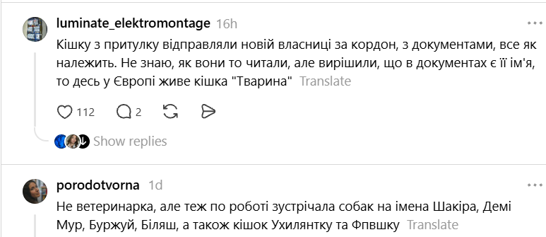 Чики и Пуки, Козявка, Шмонько: самые необычные прозвища, которыми украинцы называют своих питомцев - фото 898882