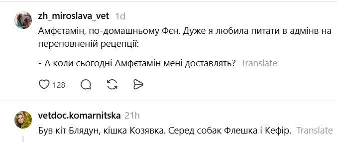 Чики и Пуки, Козявка, Шмонько: самые необычные прозвища, которыми украинцы называют своих питомцев - фото 898884