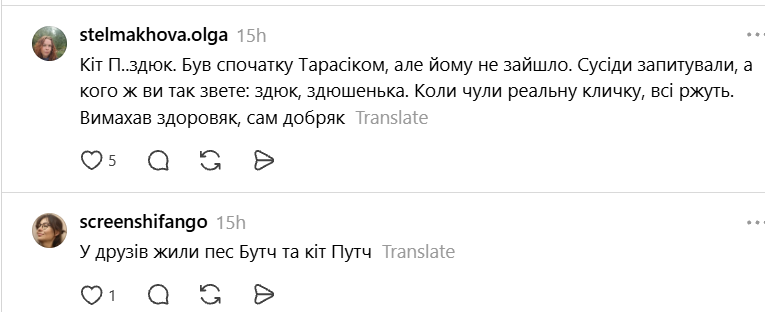 Чики и Пуки, Козявка, Шмонько: самые необычные прозвища, которыми украинцы называют своих питомцев - фото 898885