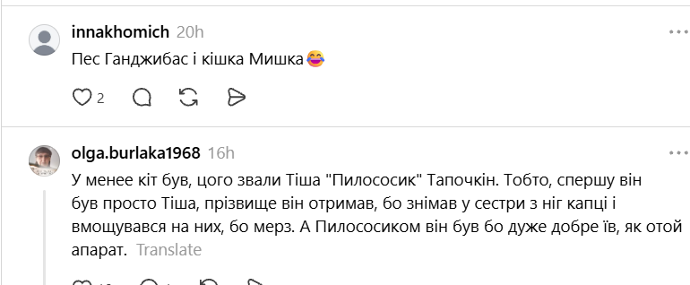 Чики и Пуки, Козявка, Шмонько: самые необычные прозвища, которыми украинцы называют своих питомцев - фото 898886