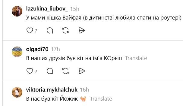 Чики и Пуки, Козявка, Шмонько: самые необычные прозвища, которыми украинцы называют своих питомцев - фото 898888