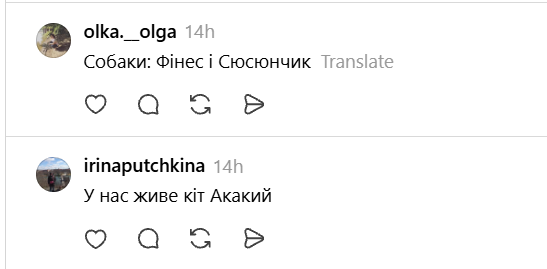 Чики и Пуки, Козявка, Шмонько: самые необычные прозвища, которыми украинцы называют своих питомцев - фото 898889