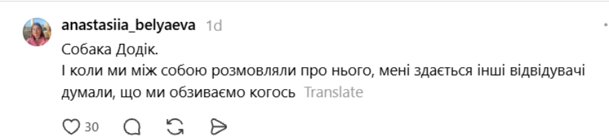 Чики и Пуки, Козявка, Шмонько: самые необычные прозвища, которыми украинцы называют своих питомцев - фото 898890