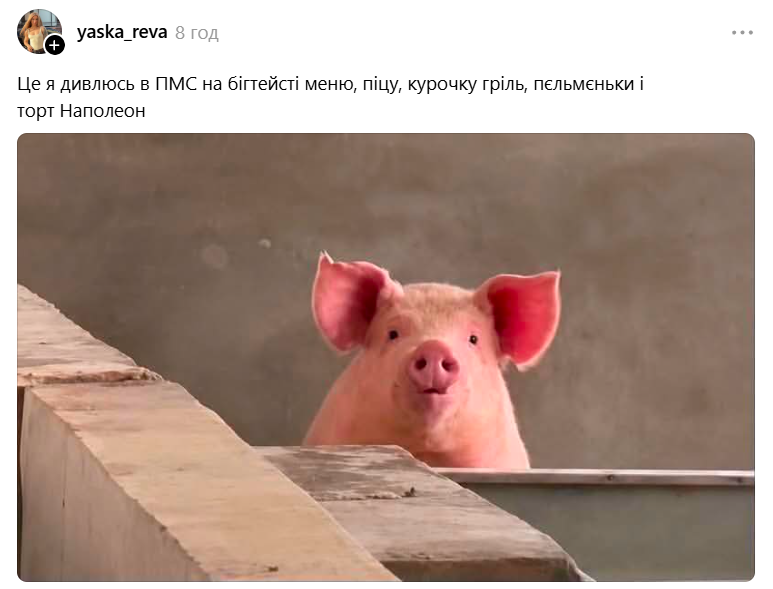 Меми з милою свинкою, яка 'за' будь-який кіпіш - фото 898990