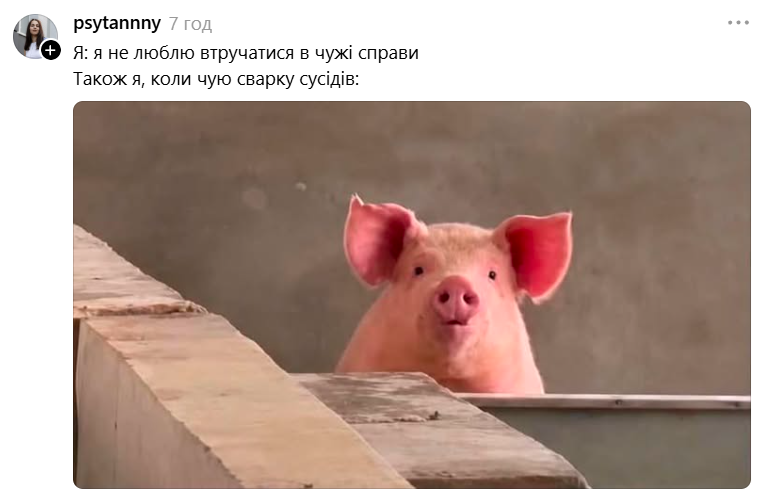 Меми з милою свинкою, яка 'за' будь-який кіпіш - фото 898994