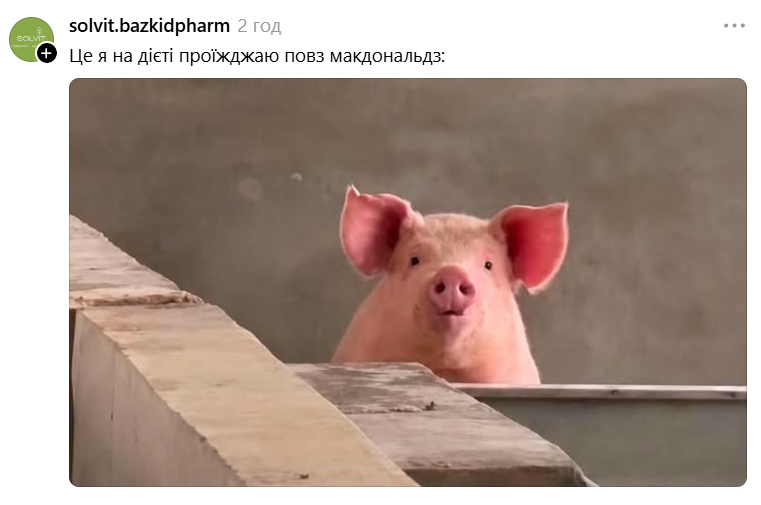 Меми з милою свинкою, яка 'за' будь-який кіпіш - фото 898996