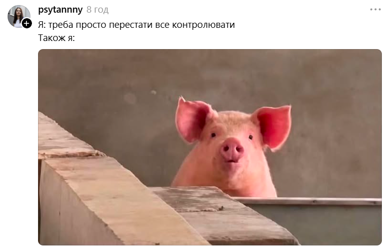 Меми з милою свинкою, яка 'за' будь-який кіпіш - фото 898997