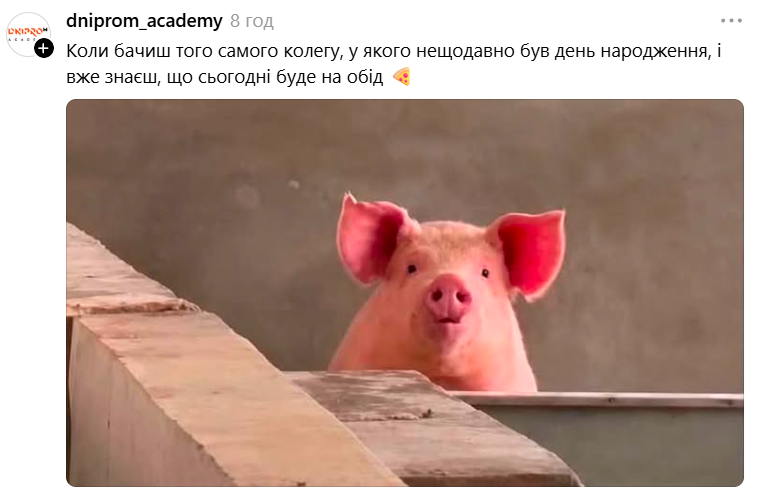 Меми з милою свинкою, яка 'за' будь-який кіпіш - фото 899000