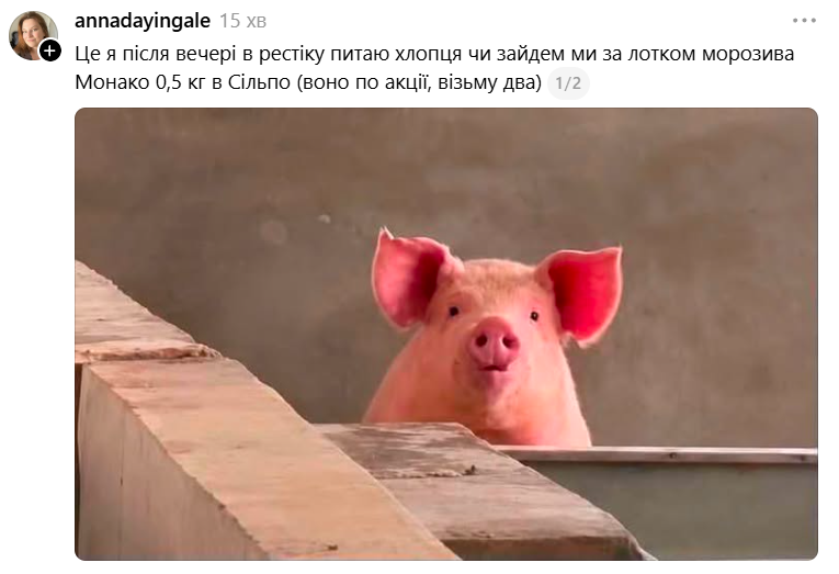 Меми з милою свинкою, яка 'за' будь-який кіпіш - фото 899015