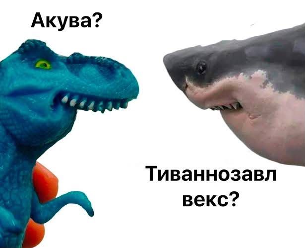 Дуже тупі, але водночас смішні меми, які розривають на шматки - 899705 Дуже тупі, але водночас смішні меми, які розривають на шматки - фото 899705