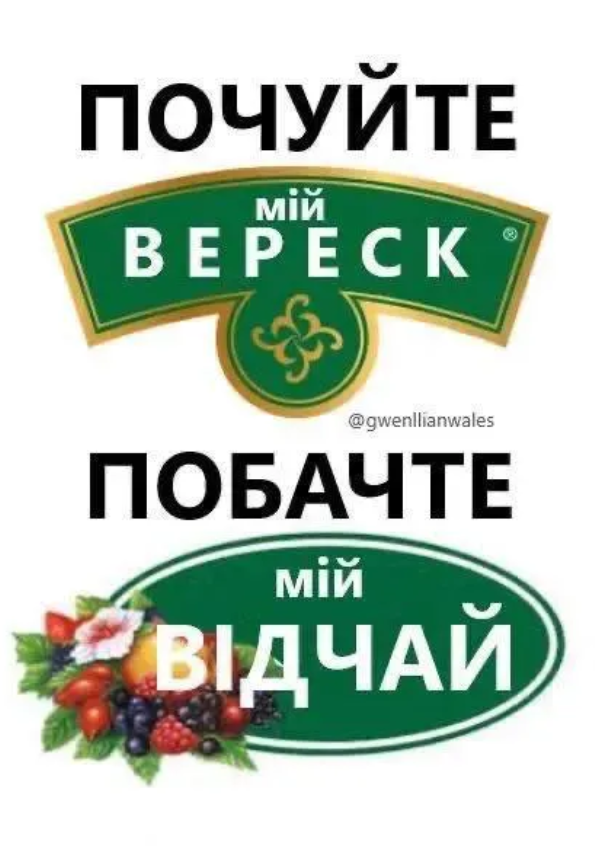 Дуже тупі, але водночас смішні меми, які розривають на шматки - 899711 Дуже тупі, але водночас смішні меми, які розривають на шматки - фото 899711