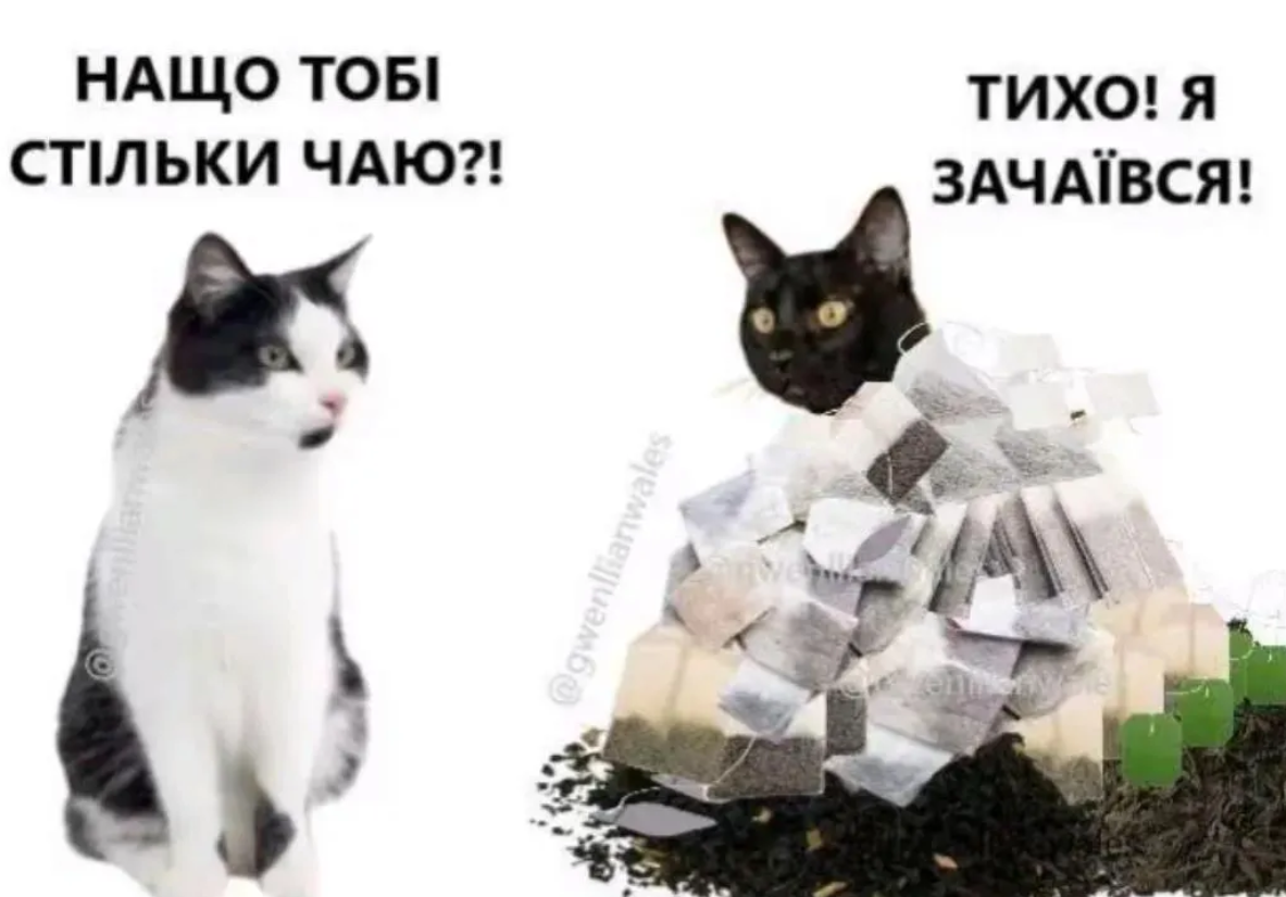 Дуже тупі, але водночас смішні меми, які розривають на шматки - 899716 Дуже тупі, але водночас смішні меми, які розривають на шматки - фото 899716