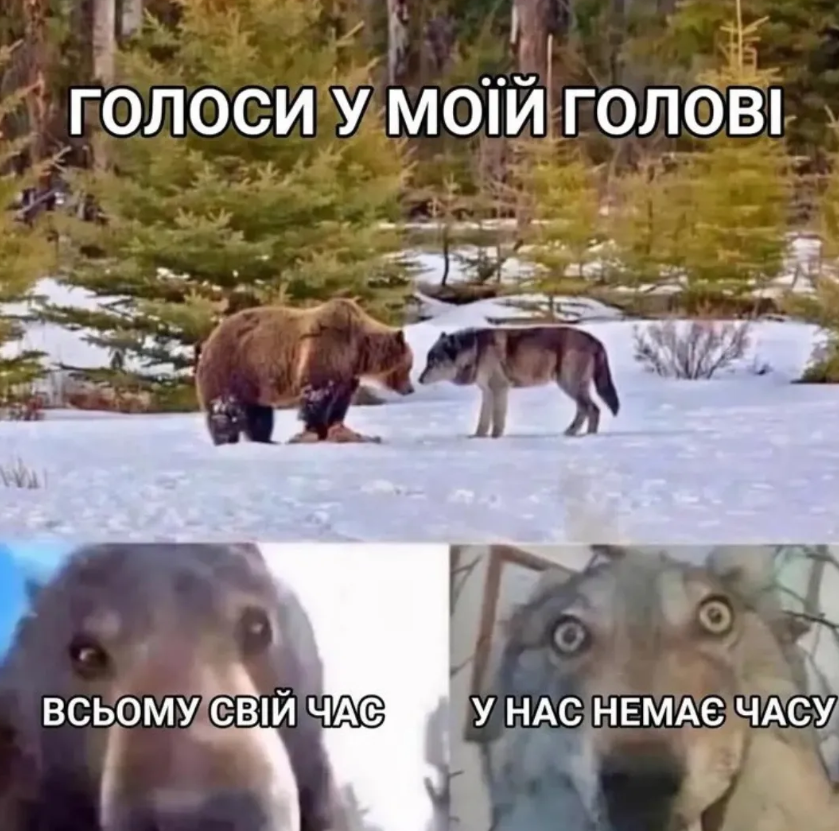 Дуже тупі, але водночас смішні меми, які розривають на шматки - 899717 Дуже тупі, але водночас смішні меми, які розривають на шматки - фото 899717