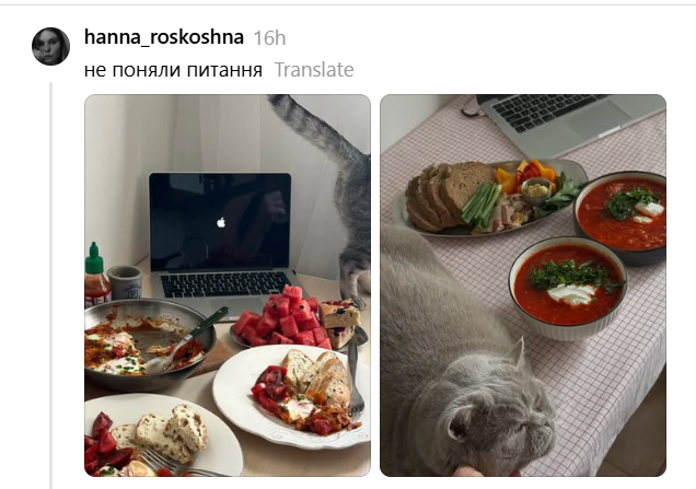 Место кота – на столе: хозяева котиков показывают, какими нахалами являются их питомцы - 900504 Место кота – на столе: хозяева котиков показывают, какими нахалами являются их питомцы - фото 900504