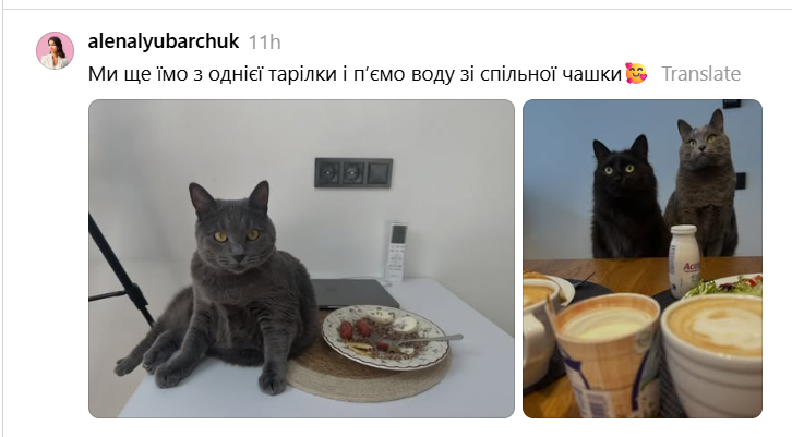 Место кота – на столе: хозяева котиков показывают, какими нахалами являются их питомцы - 900507 Место кота – на столе: хозяева котиков показывают, какими нахалами являются их питомцы - фото 900507