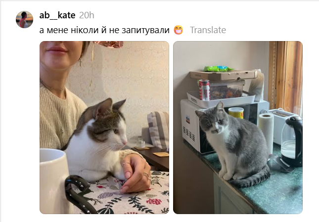 Место кота – на столе: хозяева котиков показывают, какими нахалами являются их питомцы - 900508 Место кота – на столе: хозяева котиков показывают, какими нахалами являются их питомцы - фото 900508