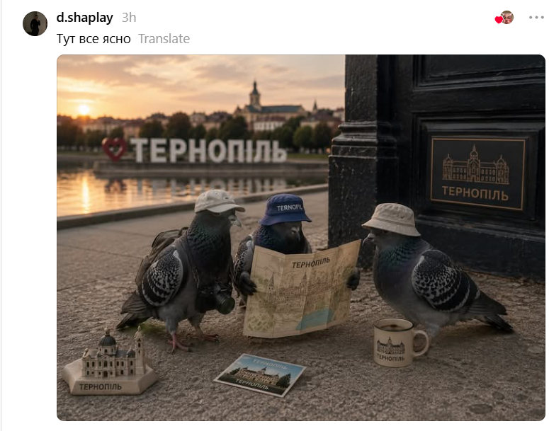 Якби голуби мали прописку: українці фантазують про вигляд пернатих із різних областей України - фото 900565