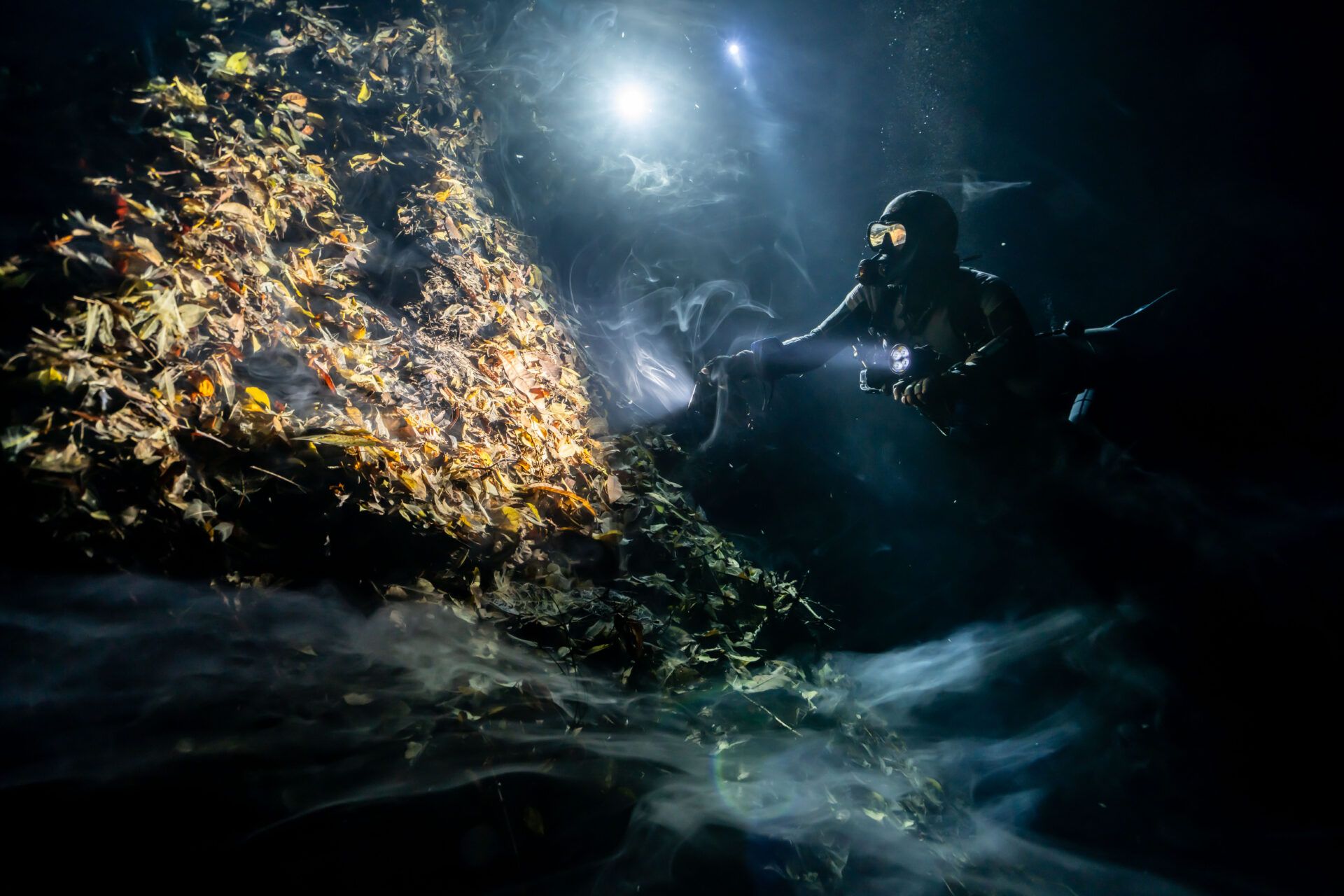 Крихітні морські коники та косатки, які полюють разом: фіналісти Ocean Photographer of the Year 2026 - фото 900624