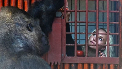 "Її доброта залишиться з нами": Київзоо поділився подробицями дружби Гейден Панеттьєр та горили Тоні