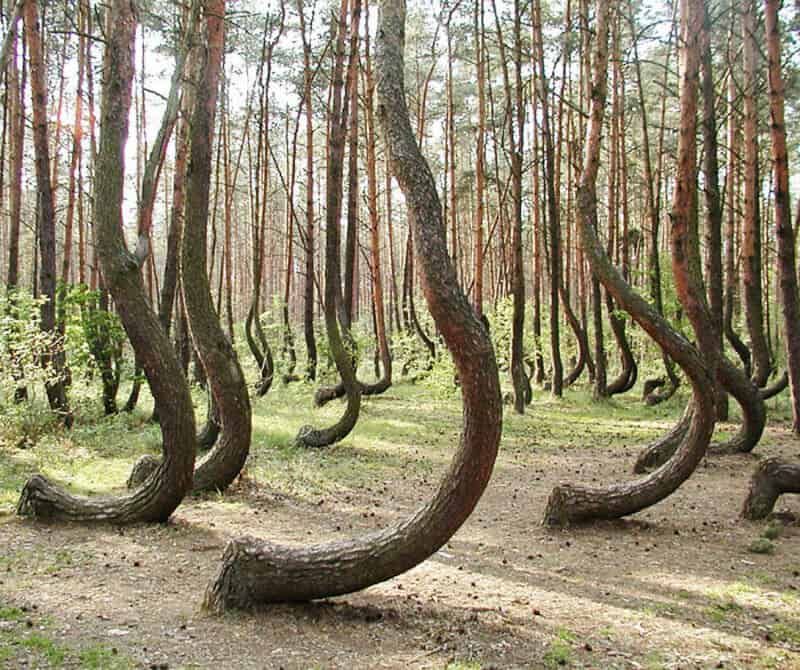 Не фотошоп і не ШІ: 25 реальних фото, які виглядають нереально - 901663 Не фотошоп і не ШІ: 25 реальних фото, які виглядають нереально - фото 901663