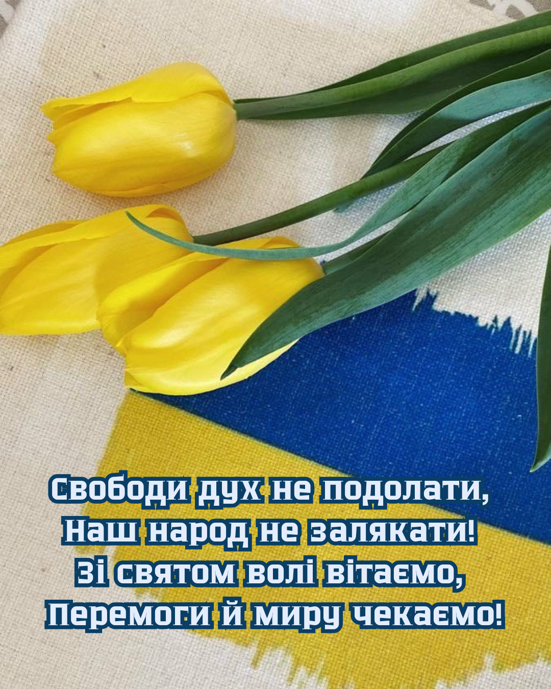 Трогательные стихи с Днем Независимости, которые заденут каждого - 901828 Трогательные стихи с Днем Независимости, которые заденут каждого - фото 901828
