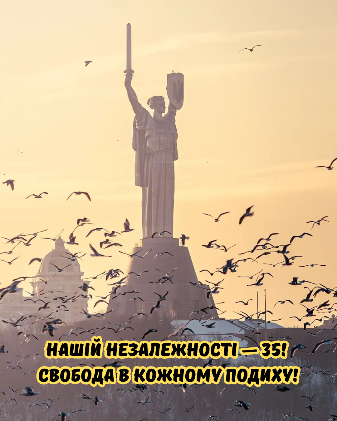 картинки з Днем Незалежності для сторіс - фото 901887
