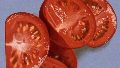 15 реалістичних картин їжі, дивлячись на які хочеться вкусити полотно