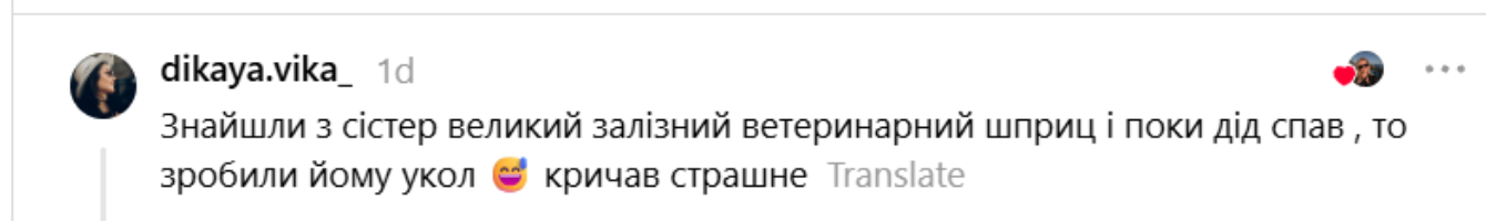 Батьки досі не забули: українці згадують свої найепічніші дитячі витівки - фото 902853
