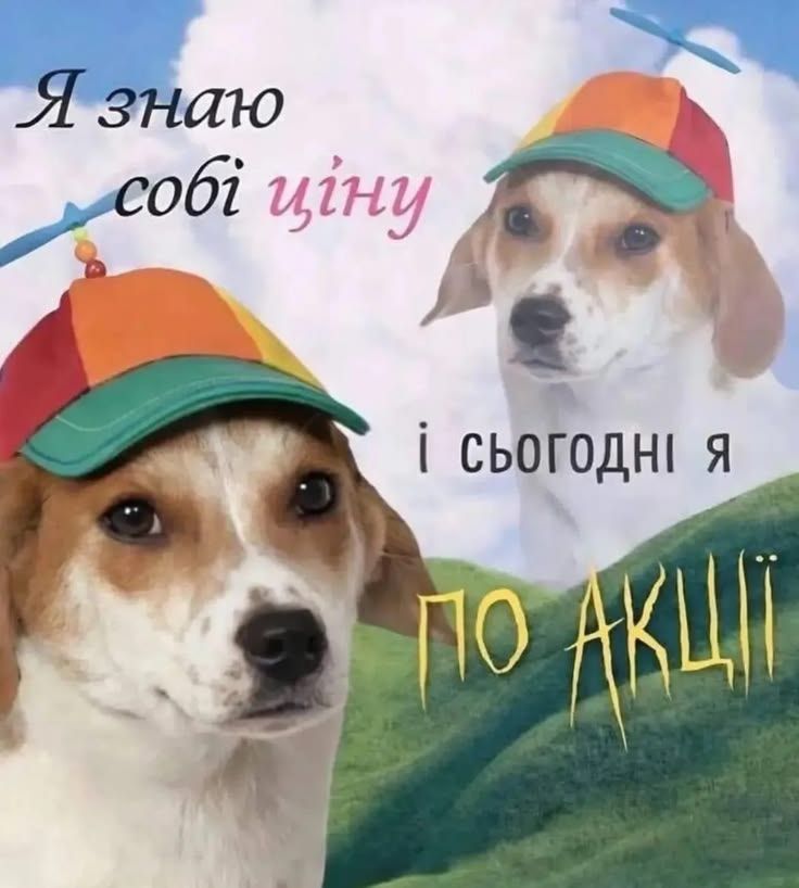 Смішні меми з собаками, які знають про життя трохи більше за нас - 903623 Смішні меми з собаками, які знають про життя трохи більше за нас - фото 903623