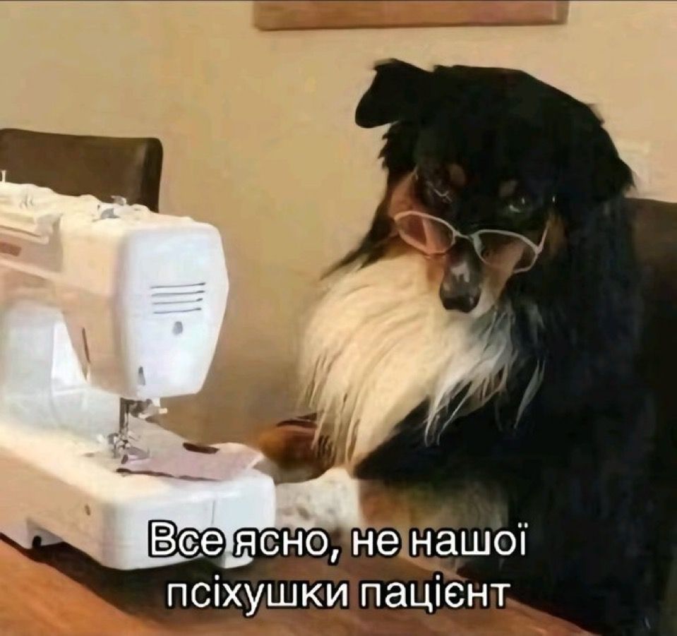 Смішні меми з собаками, які знають про життя трохи більше за нас - 903629 Смішні меми з собаками, які знають про життя трохи більше за нас - фото 903629