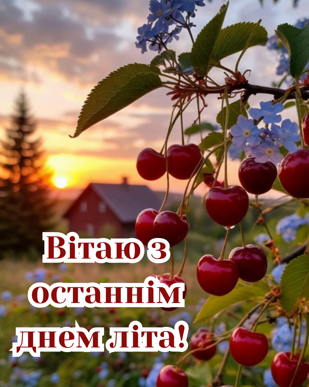 останній день серпня 2026 картинки та привітання - фото 904007
