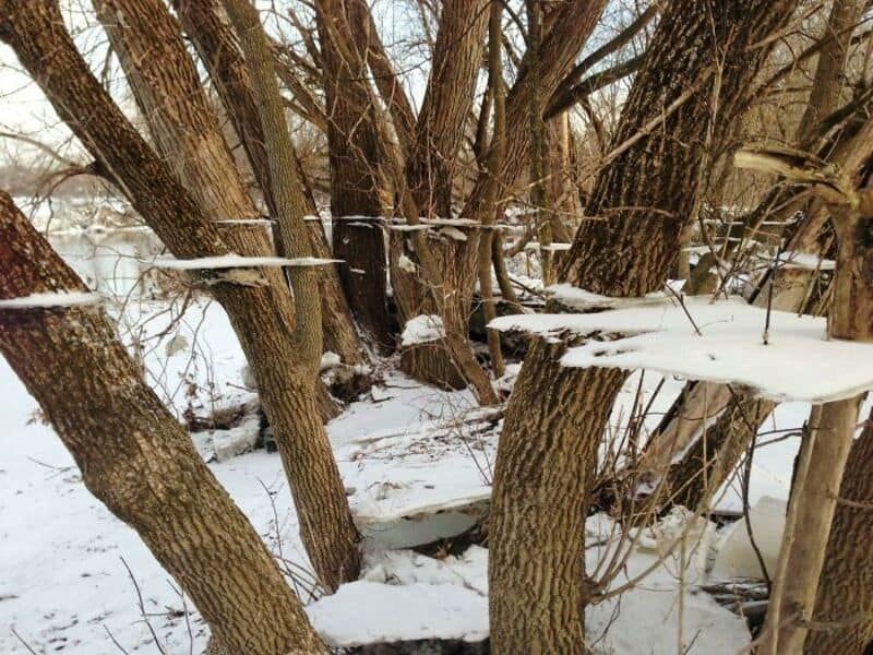 Реальність дала збій: 20 фотографій, які складно пояснити - 904156 Реальність дала збій: 20 фотографій, які складно пояснити - фото 904156