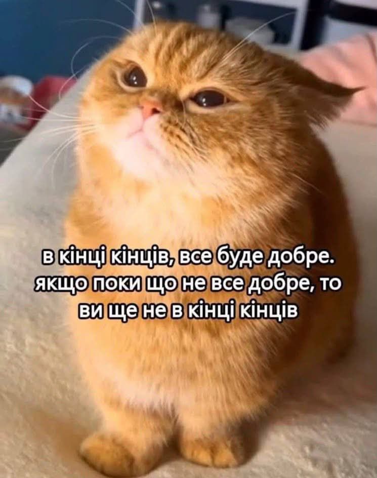 Меми з тваринками, які знадобляться кожному в цьому абсурдному житті - фото 904361