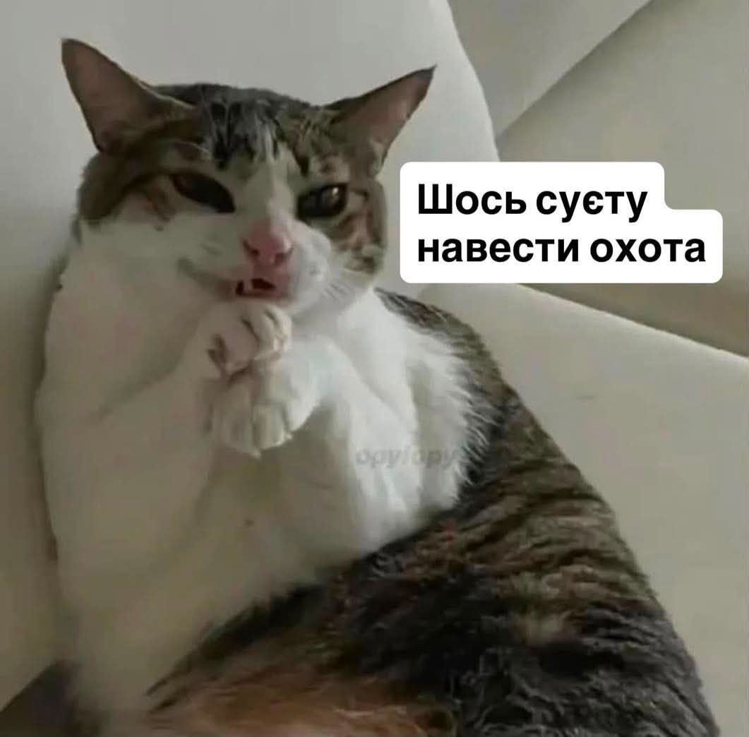 Меми з тваринками, які знадобляться кожному в цьому абсурдному житті - фото 904371