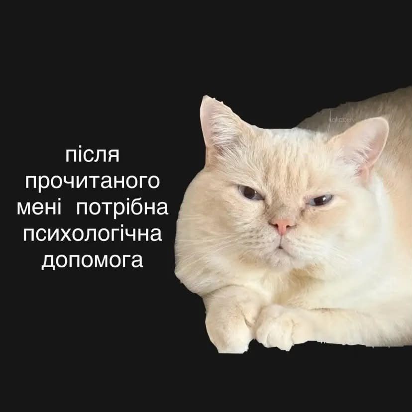 Меми з тваринками, які знадобляться кожному в цьому абсурдному житті - фото 904372