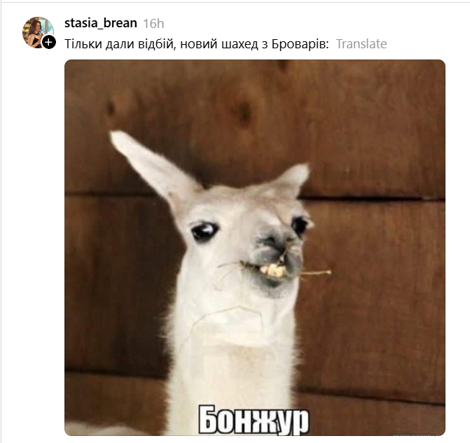 13 тривог за день: кияни знайшли, як пожартувати навіть із цього антирекорду - фото 904610