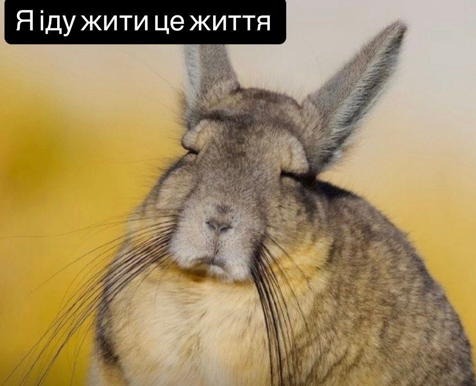 Меми про останній день літа і тривоги - 905196 Меми про останній день літа і тривоги - фото 905196