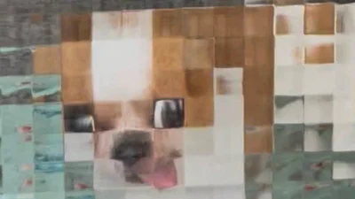 "Піксельний" песик розсмішив мережу: він виглядає наче герой Minecraft