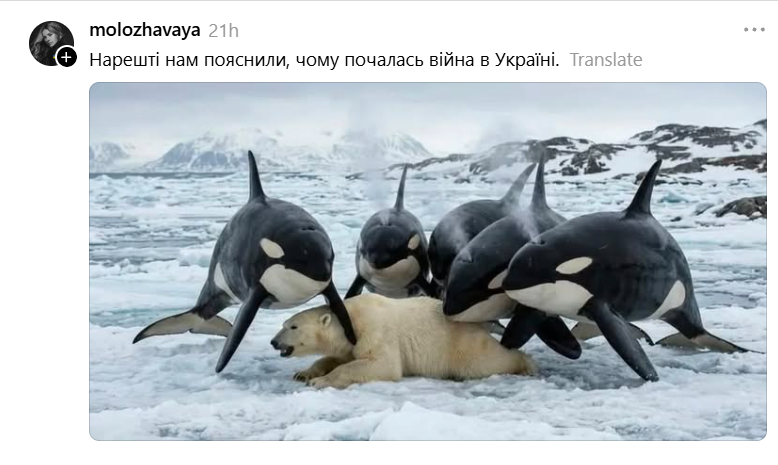 'Косатки розривають білих ведмедів': путін вигадав нове пояснення війни, і над ним рже весь інтернет - 905529 'Косатки розривають білих ведмедів': путін вигадав нове пояснення війни, і над ним рже весь інтернет - фото 905529