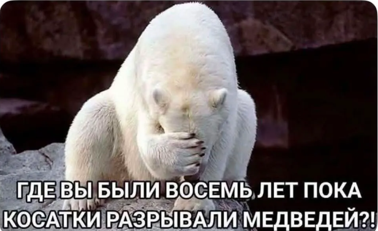 'Косатки розривають білих ведмедів': путін вигадав нове пояснення війни, і над ним рже весь інтернет - 905531 'Косатки розривають білих ведмедів': путін вигадав нове пояснення війни, і над ним рже весь інтернет - фото 905531