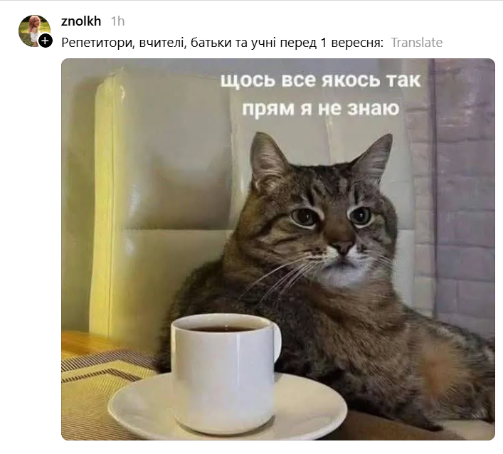 Найкращі меми про школу - 905644 Найкращі меми про школу - фото 905644
