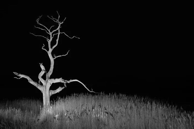 30 фотографий с конкурса Minimalist Photography Awards 2026, доказывающих, что красота – в простоте - 905915 30 фотографий с конкурса Minimalist Photography Awards 2026, доказывающих, что красота – в простоте - фото 905915