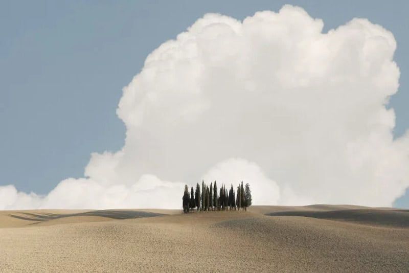 30 фотографий с конкурса Minimalist Photography Awards 2026, доказывающих, что красота – в простоте - 905918 30 фотографий с конкурса Minimalist Photography Awards 2026, доказывающих, что красота – в простоте - фото 905918