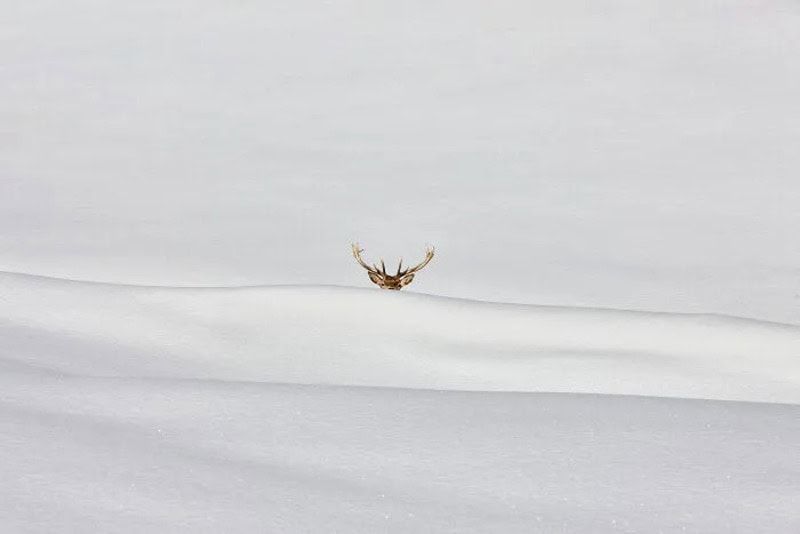 30 фотографий с конкурса Minimalist Photography Awards 2026, доказывающих, что красота – в простоте - 905926 30 фотографий с конкурса Minimalist Photography Awards 2026, доказывающих, что красота – в простоте - фото 905926