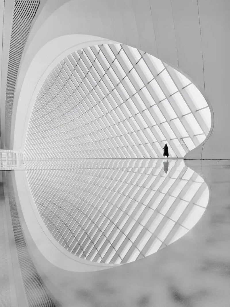 30 фотографий с конкурса Minimalist Photography Awards 2026, доказывающих, что красота – в простоте - 905936 30 фотографий с конкурса Minimalist Photography Awards 2026, доказывающих, что красота – в простоте - фото 905936