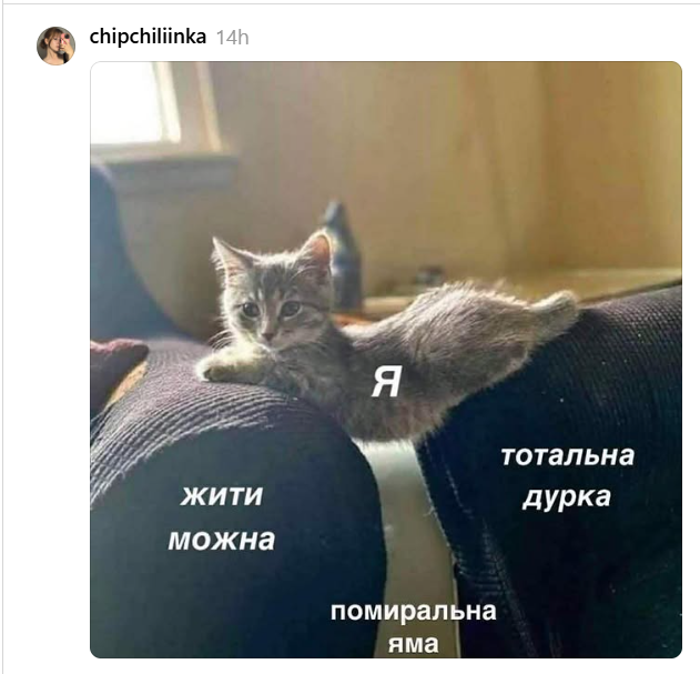 'Я не вспів даже увидіти, не вспів': українці описують літо одним мемом - фото 906003