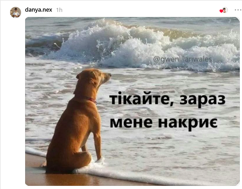 'Я не вспів даже увидіти, не вспів': українці описують літо одним мемом - фото 906007