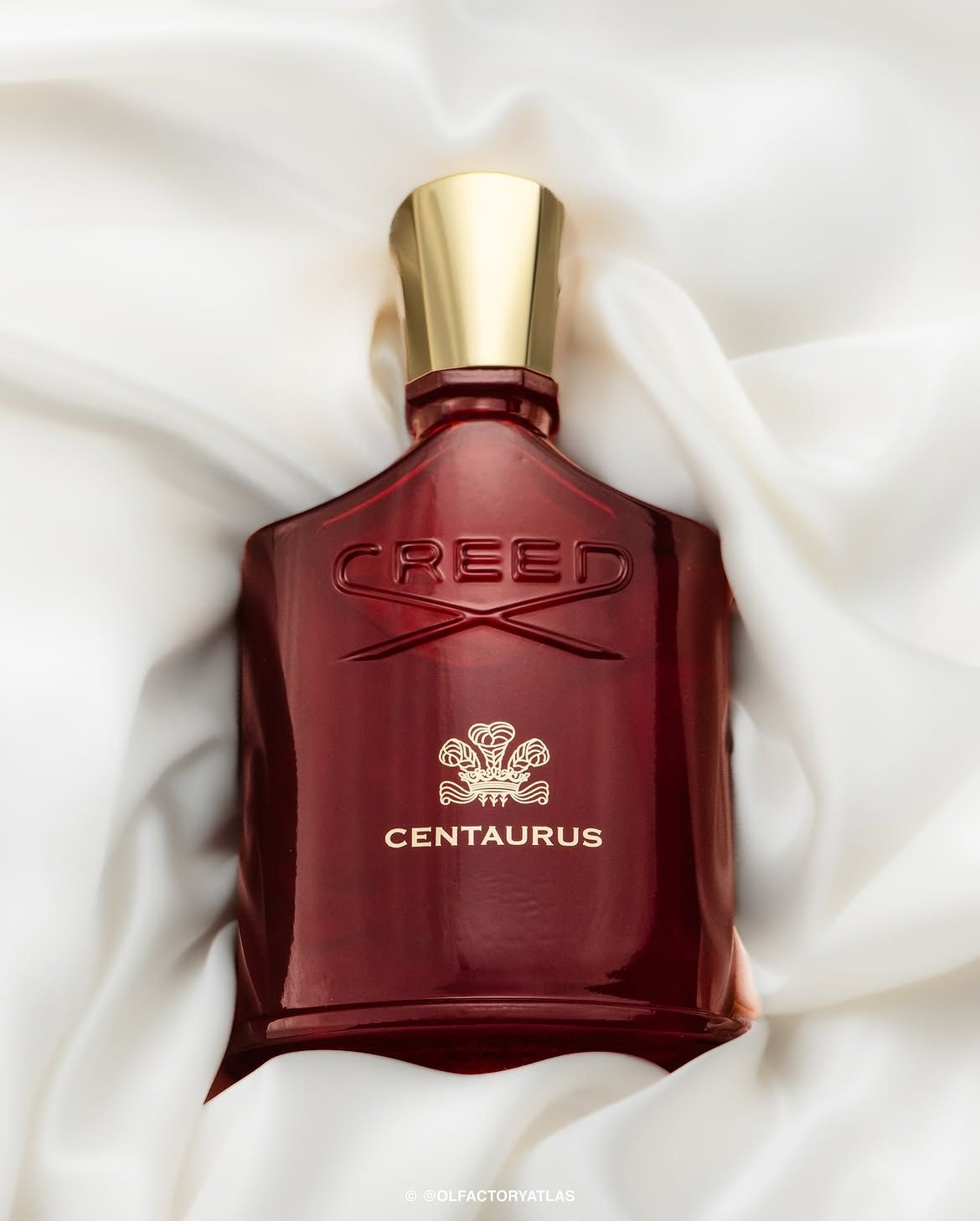 Creed - Centaurus - фото 906486